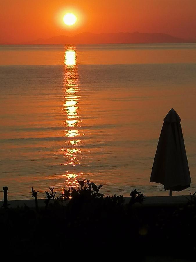 Oasis Livadia (Tilos)