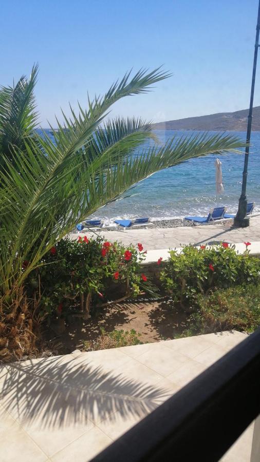 Oasis * Livadia (Tilos)