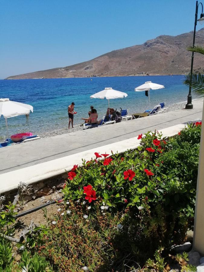 Oasis * Livadia (Tilos)