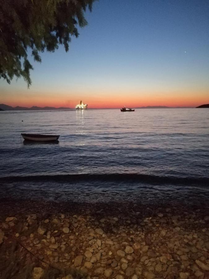 Apartment Oasis Livadia (Tilos)