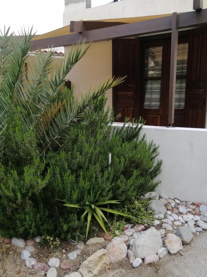 Oasis